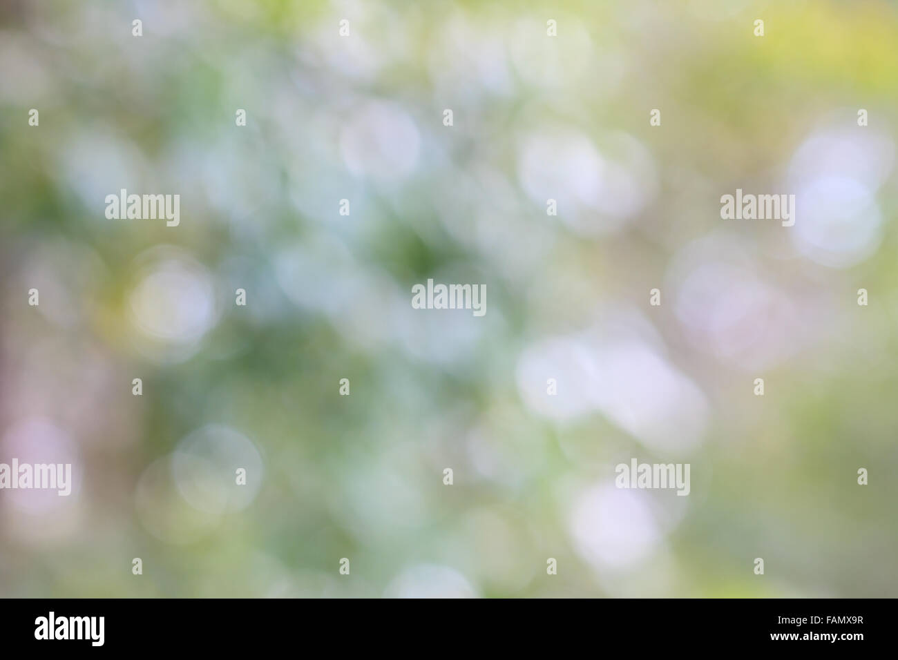 Abstract blurry bokeh background,  use as natural background Stock Photo