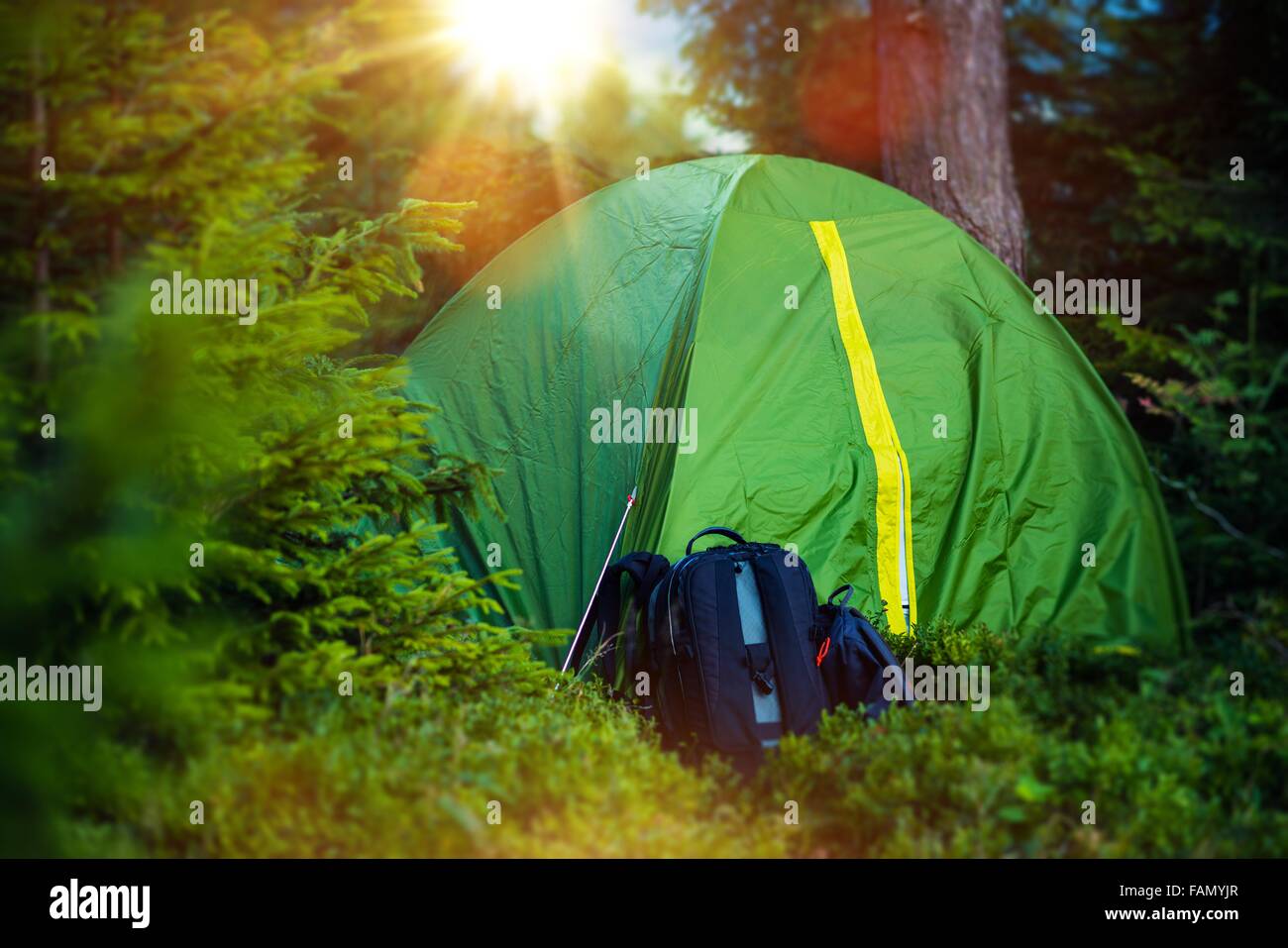 Small Double Green Tent Camping and Backpacks in the Forest. Summer Hiking and Camping. Stock Photo