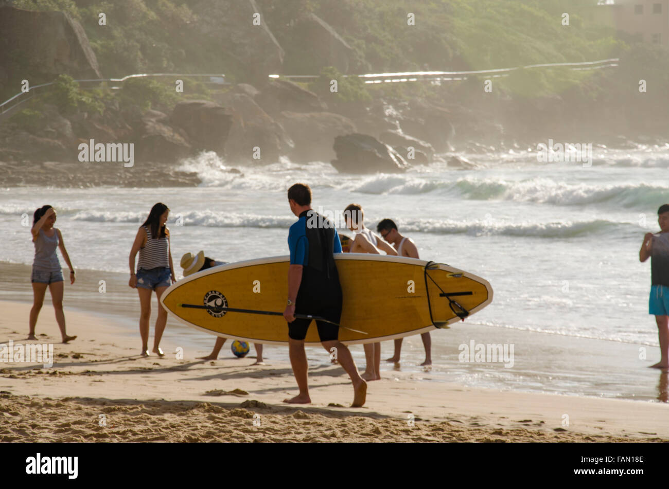 A young man in a wet suit walks along the waters edge carrying a standup paddleboard at sunny Freshwater Beach in Sydney, Australia Stock Photo