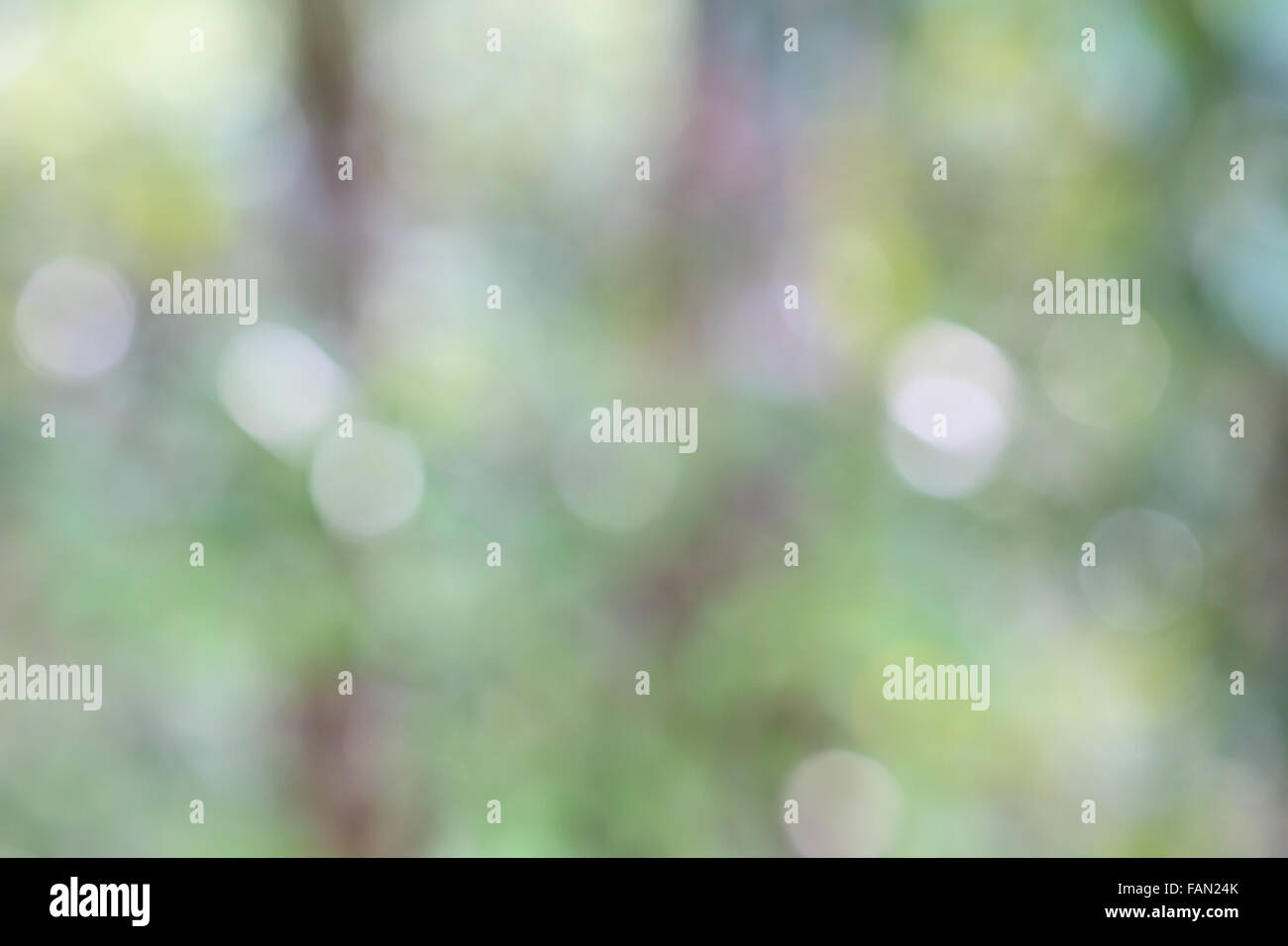 Bokeh elegant abstract background hi-res stock photography and images ...