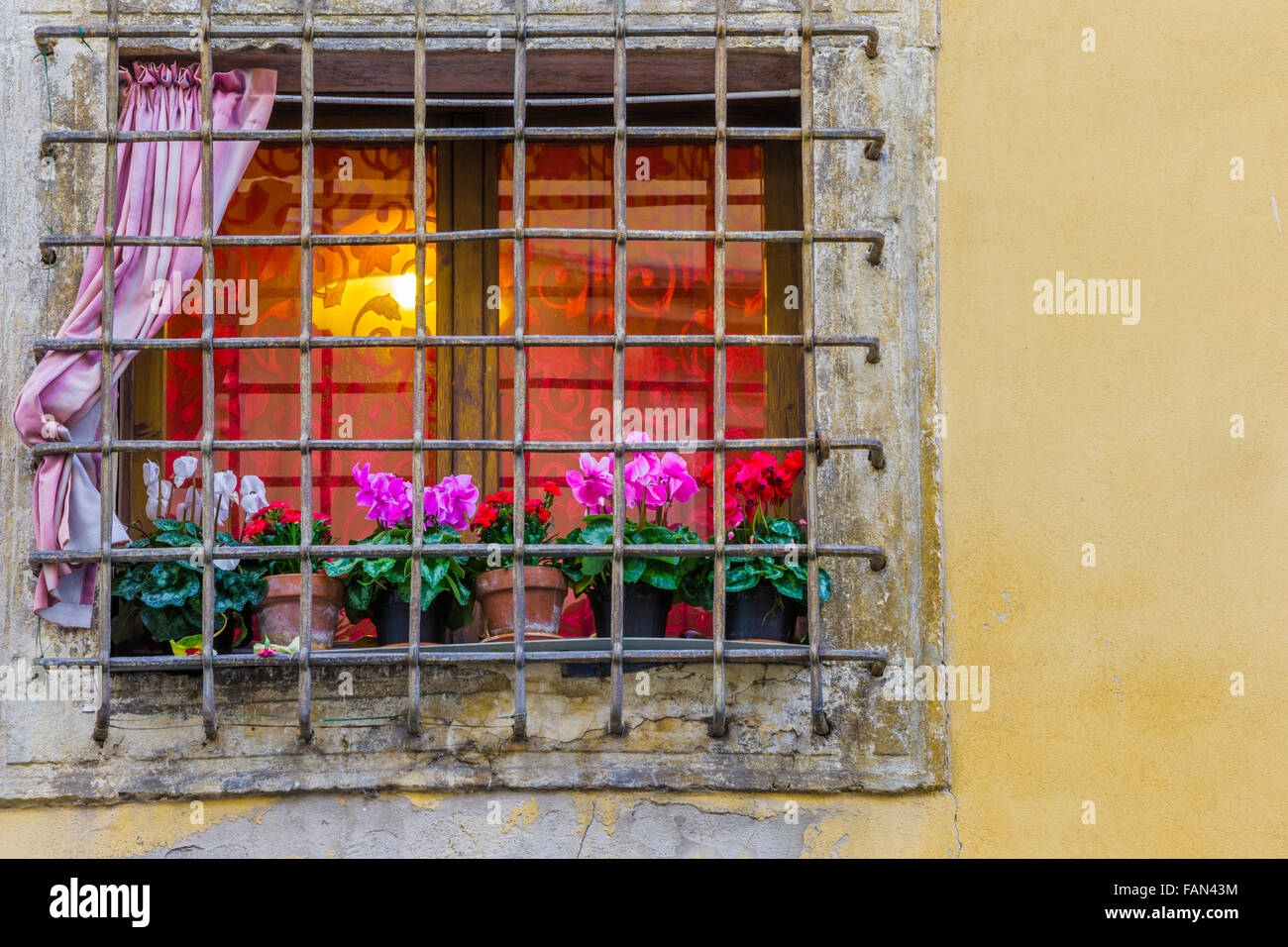 flower pots on rustic window ledge at dawn, Verona Stock Photo Alamy