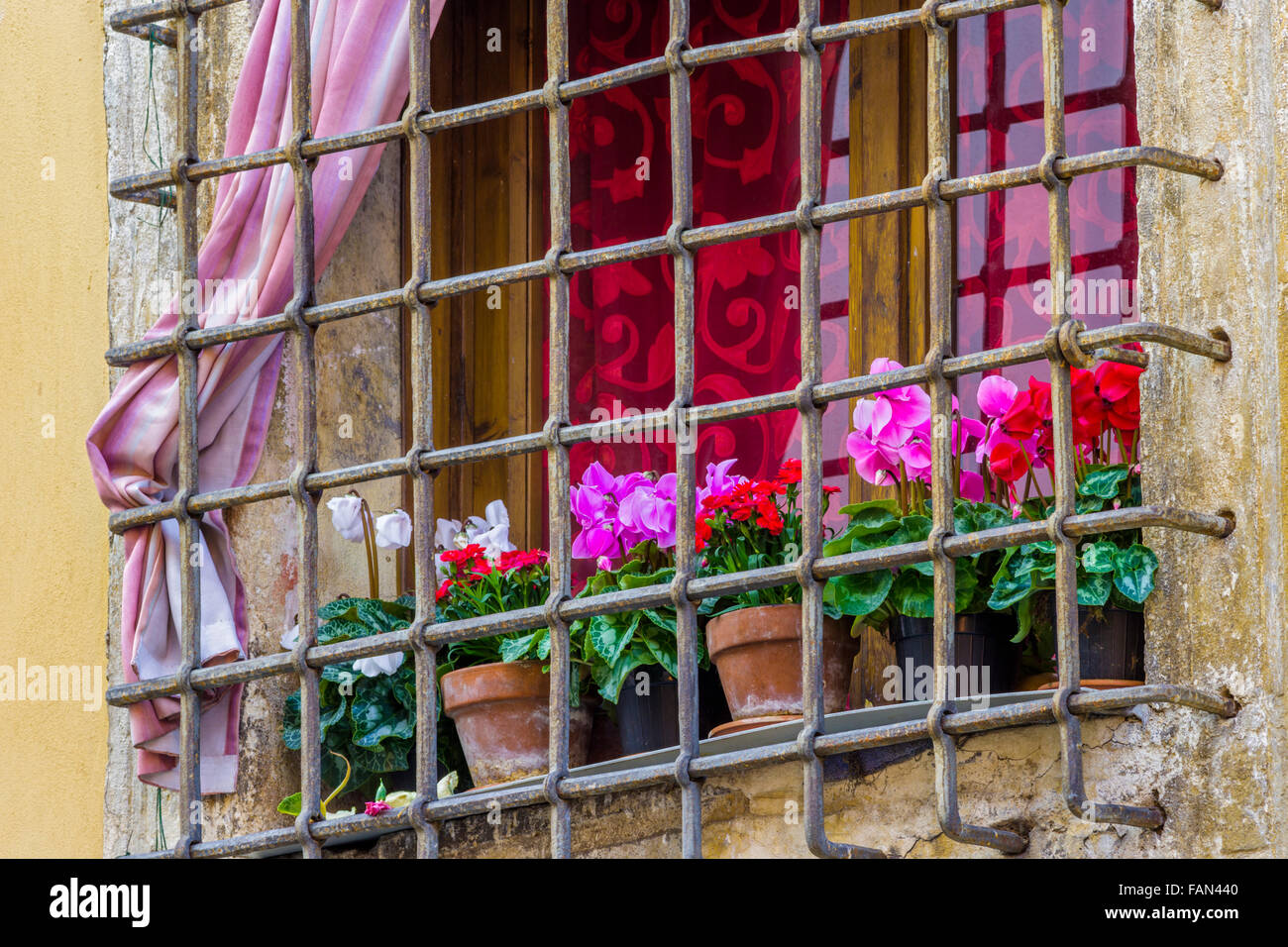 flower pots on rustic window ledge, Verona Stock Photo Alamy