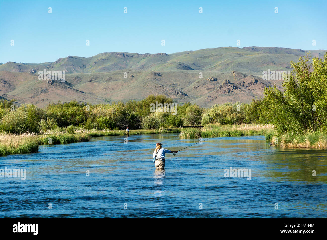 Idaho, Bellevue, Silver Creek Preserve, woman female fly fisherwoman