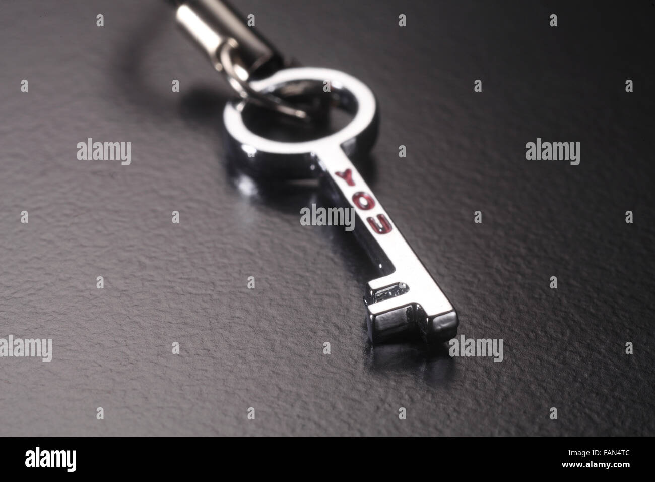 Close up of metal key Stock Photo Alamy