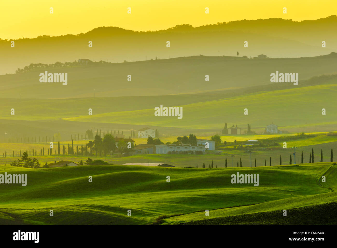 Cypres hires stock photography and images Alamy