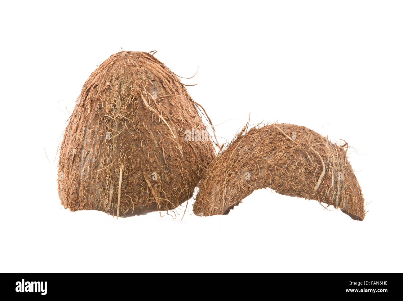 Coconut shell on a white background Stock Photo