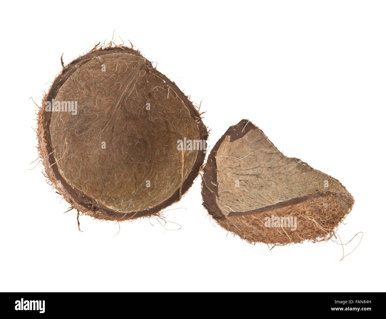 coconut shell on a white background Stock Photo