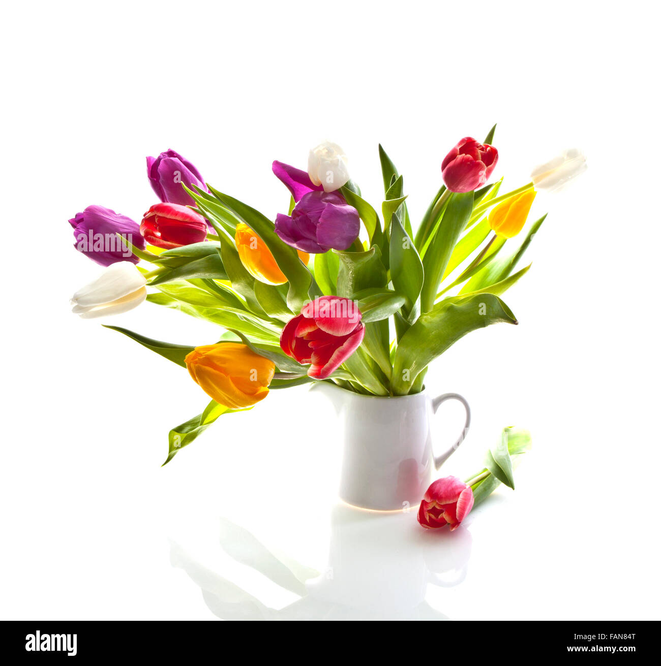 Mixed tulips in a jug on white background Stock Photo - Alamy