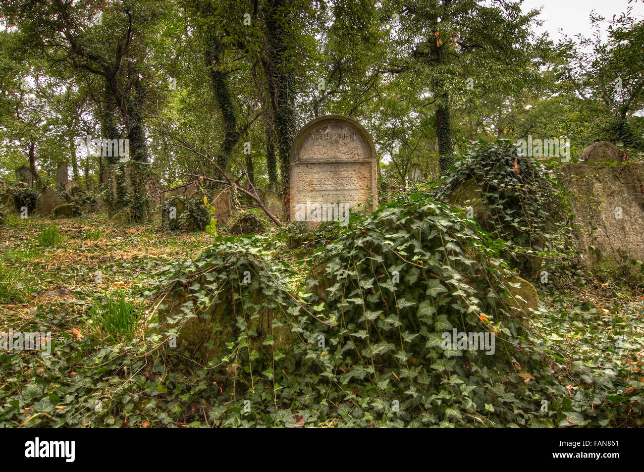 Old Jewish cemetery at Kolin Stock Photo - Alamy