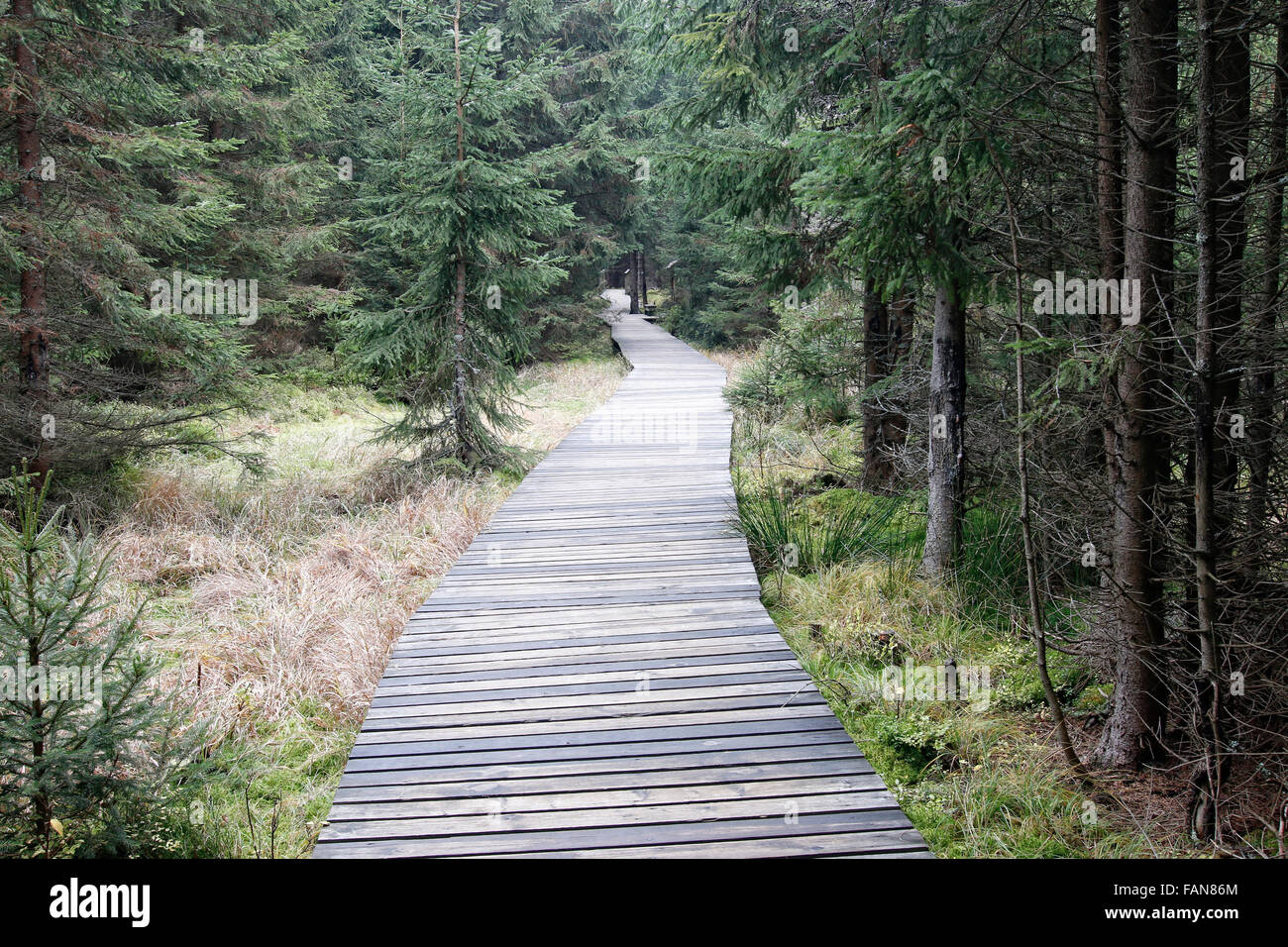 The nature trail in a nature reserve Kladska Stock Photo