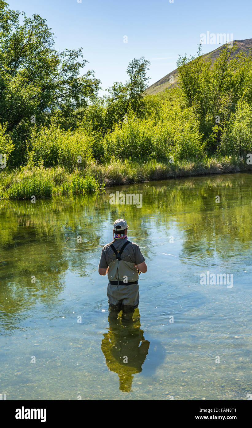 Idaho, Bellevue, Silver Creek Preserve, fly fisherman trout fishing