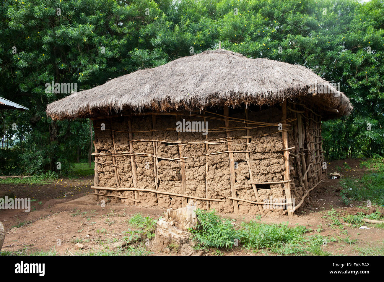 Traditional Kenyan home made from mud, with a thatched hut. Kenya Stock Photo 92668298 Alamy