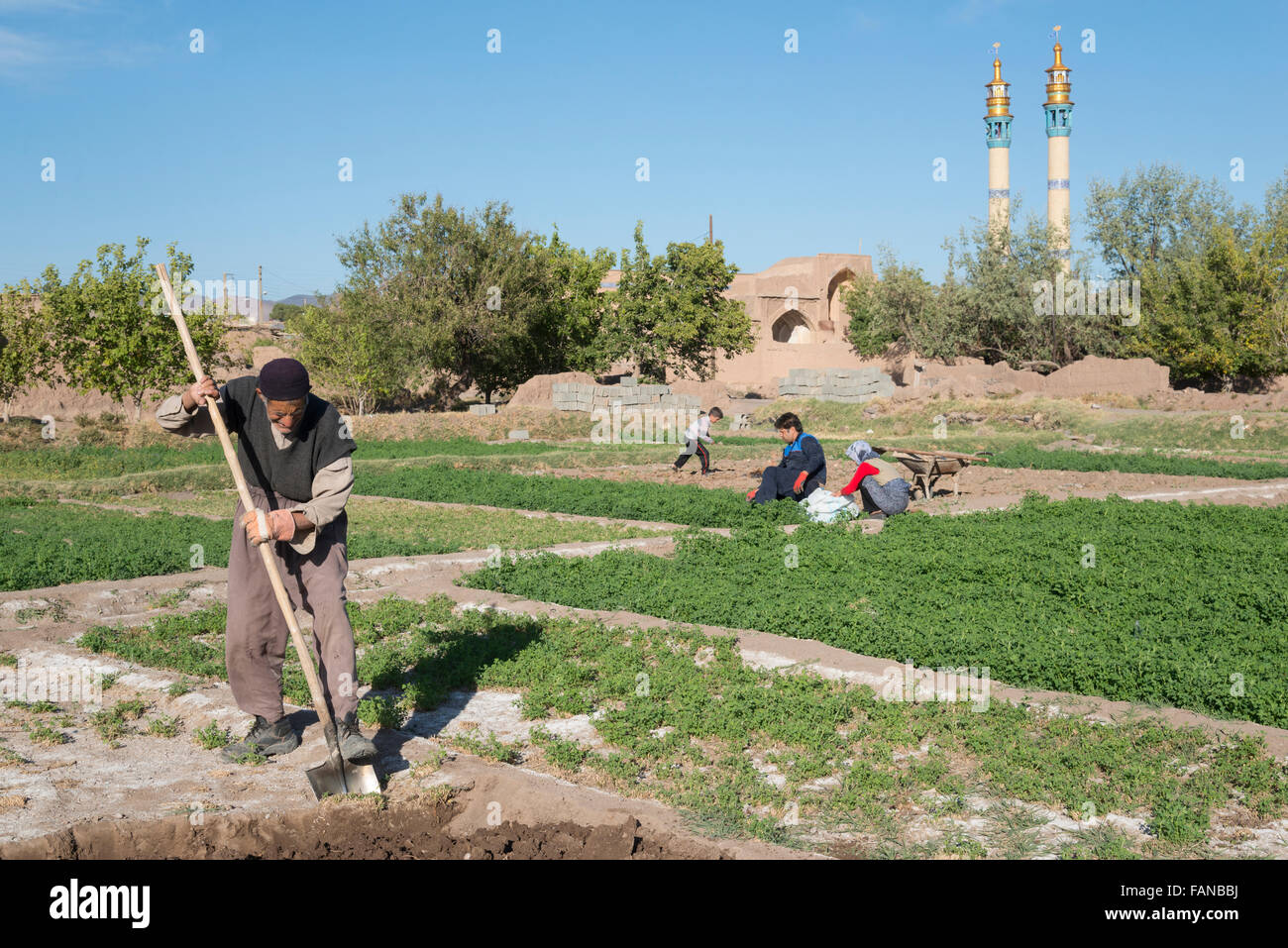 Toudeshk. Dasht e Kavir desert. Iran. Stock Photo