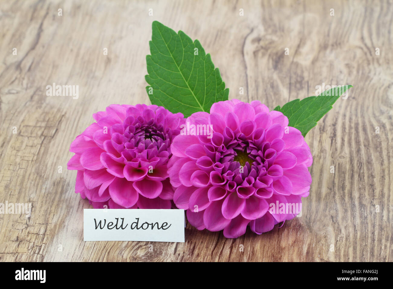 Well done card with pink dahlia flowers Stock Photo