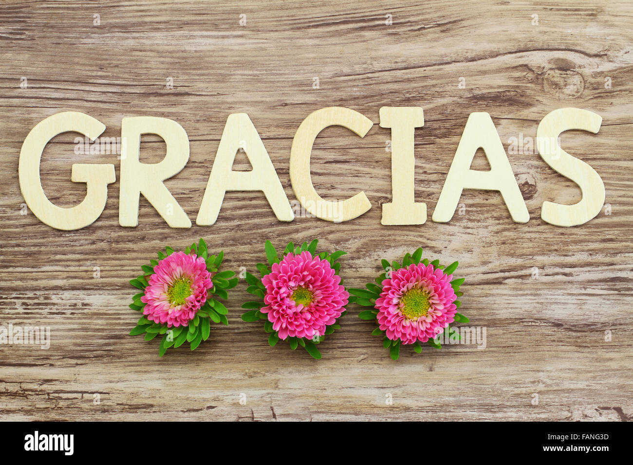 Gracias Thank You In Spanish Written With Wooden Letters And Pink Daisies Stock Photo Alamy