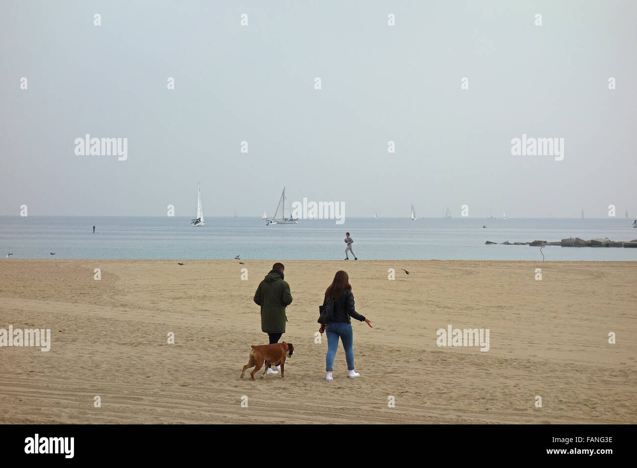 Couple walking dog on Barcelona beach in winter Stock Photo