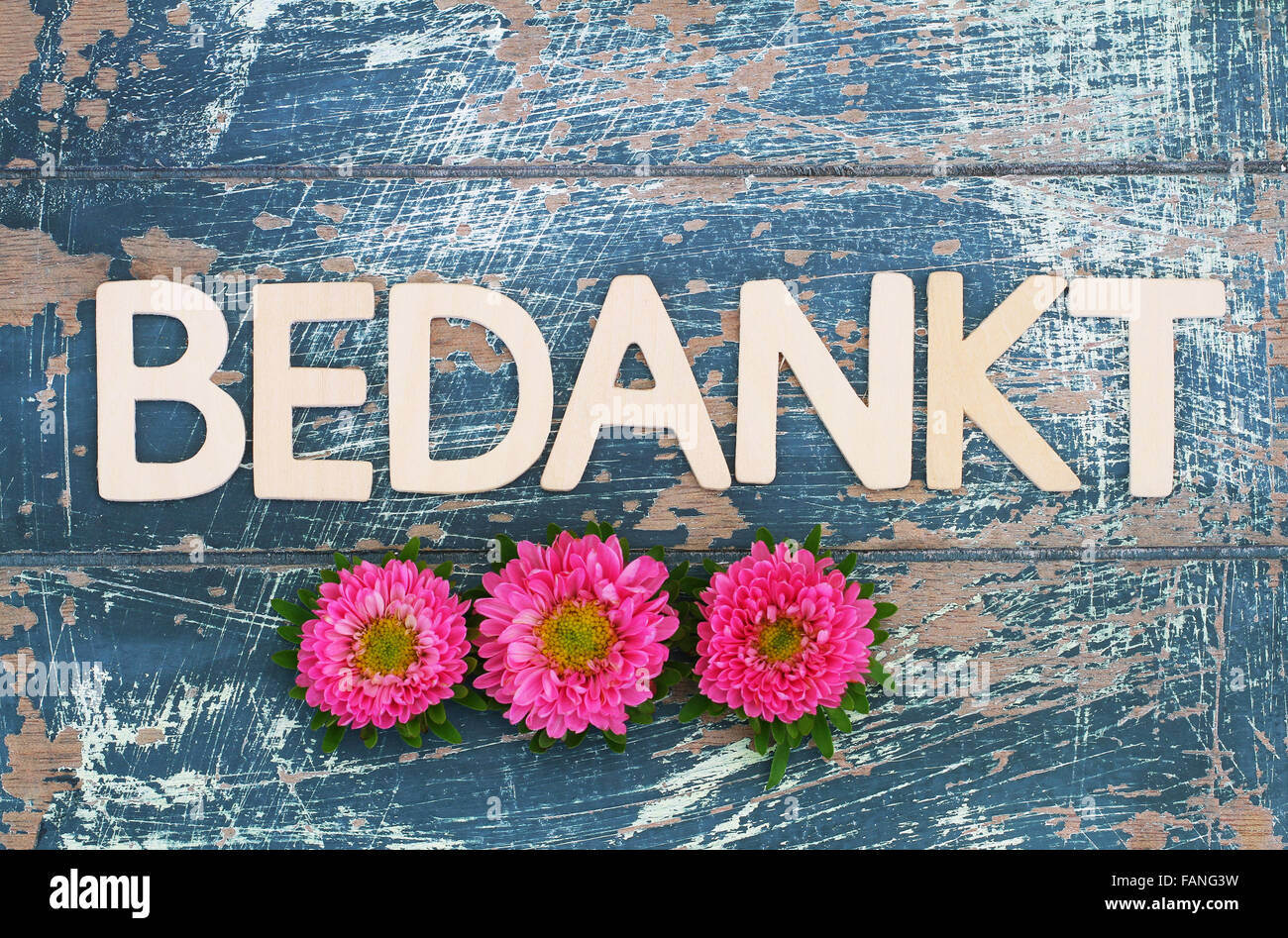 veelbelovend capaciteit Architectuur Bedankt (thank you in Dutch) written with wooden letters on rustic surface  and pink daisies Stock Photo - Alamy
