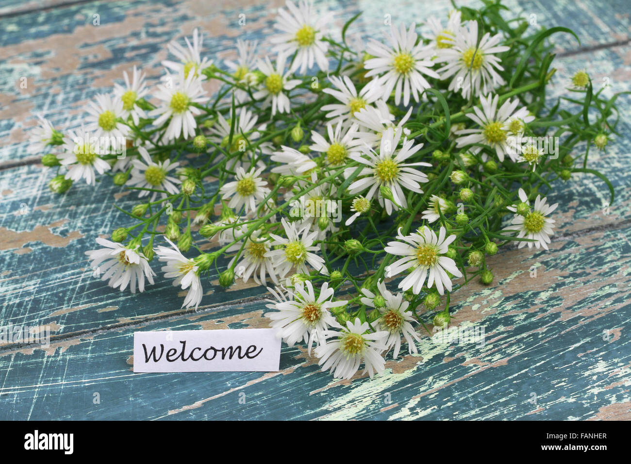 Rustic Welcome Flowers Welcome card with chamomile flowers on rustic wooden surface Stock ...