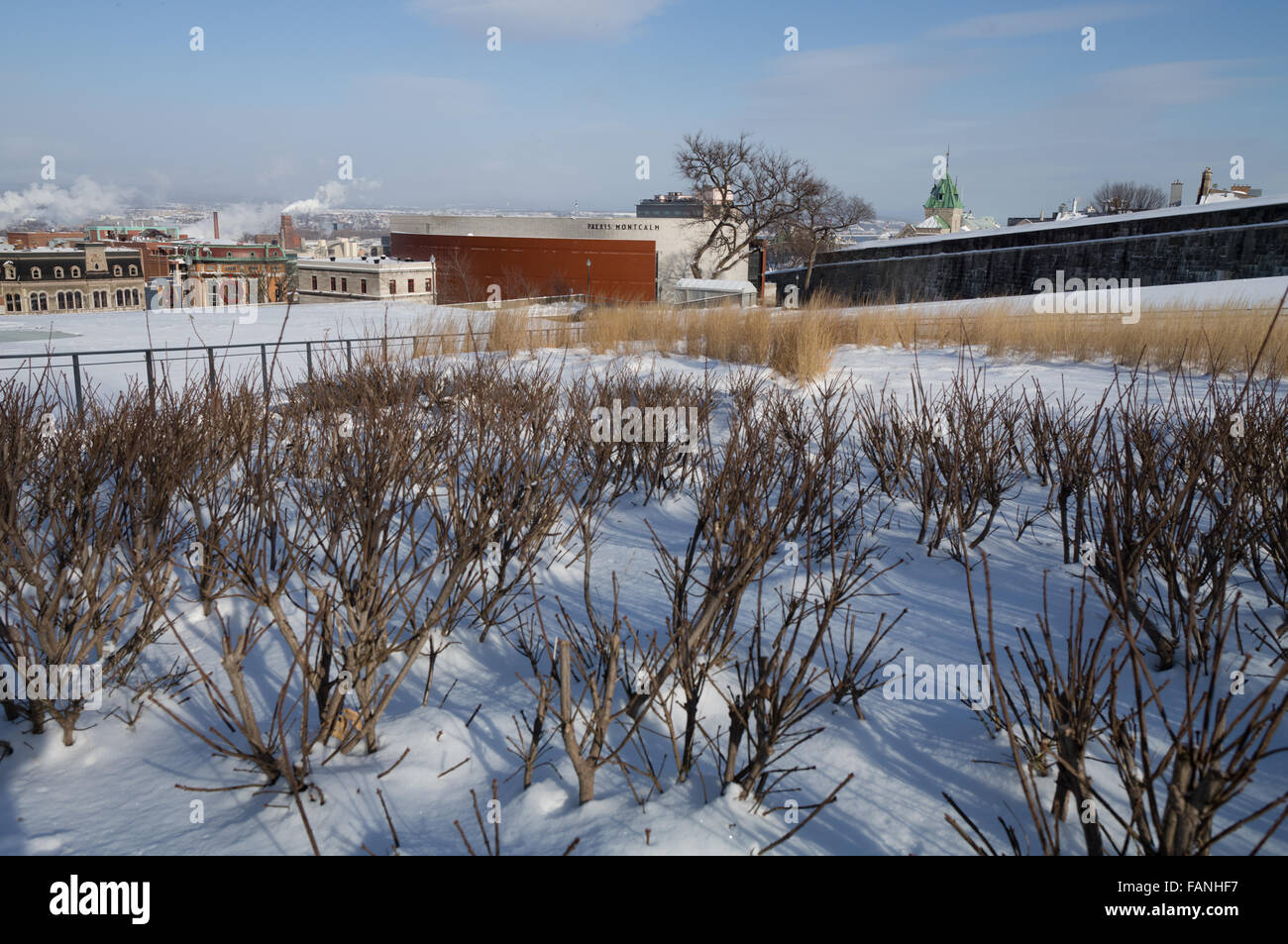 Quebec City, Quebec, Canada winter season, cold and snow Stock Photo