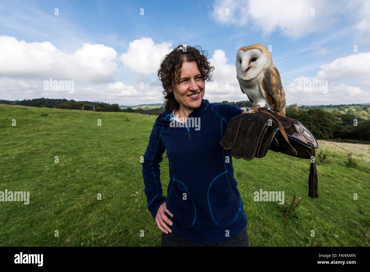 Woman holding Barn Owl (Tyto alba) on glove Dartmoor, England, Great Britain, United Kingdom, Europe Stock Photo