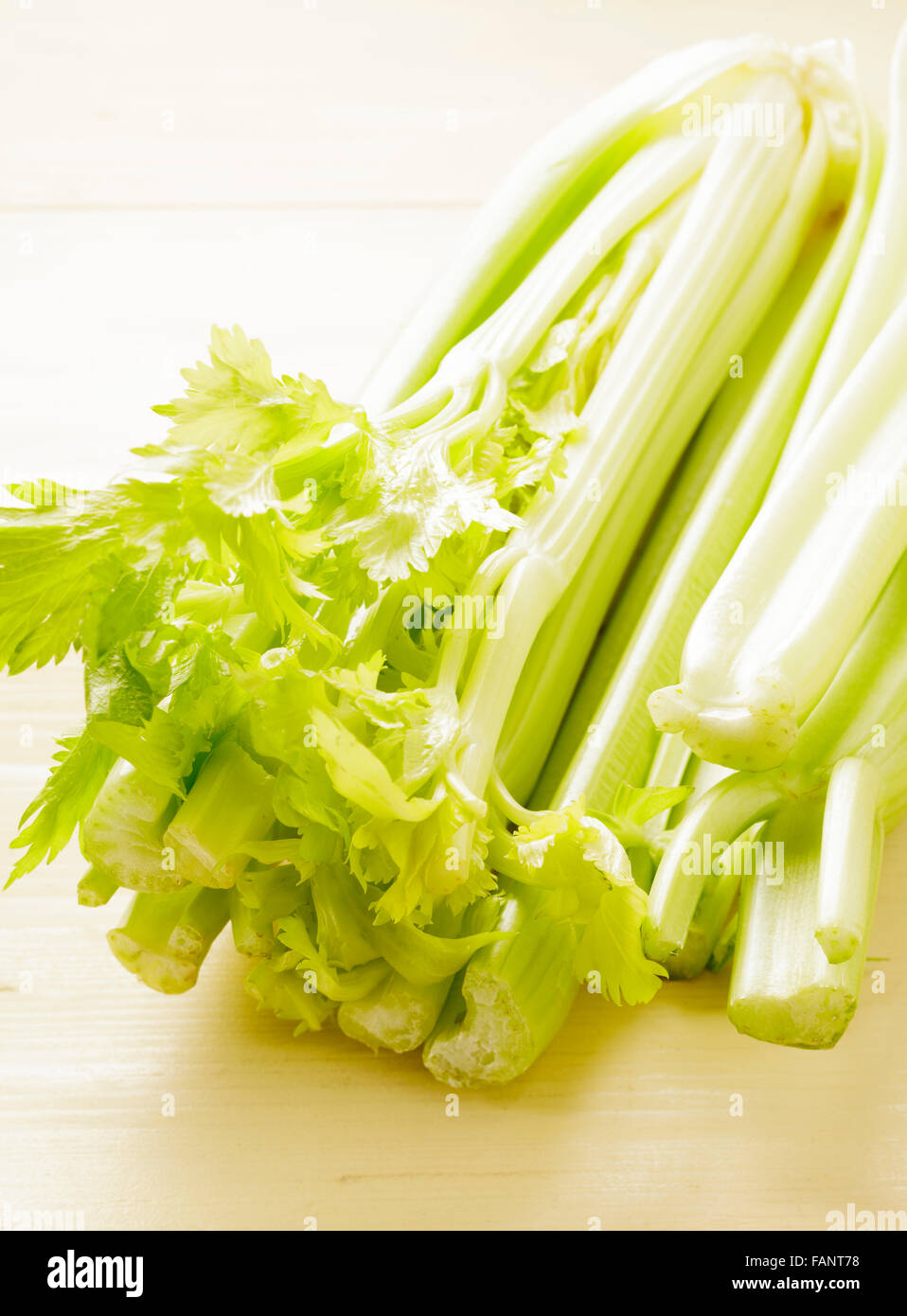 celery Stock Photo