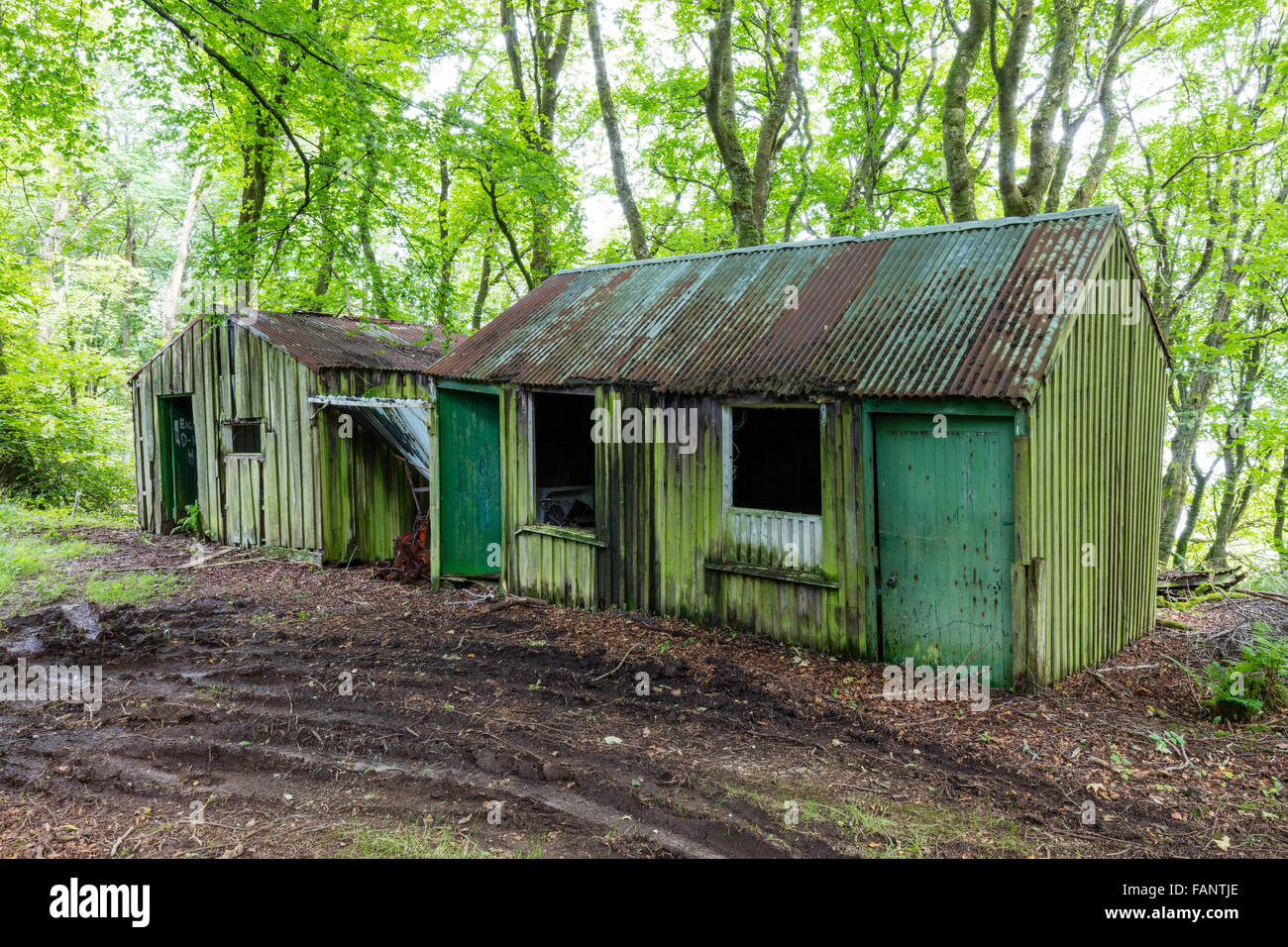 Shed sheds hi-res stock photography and images - Alamy
