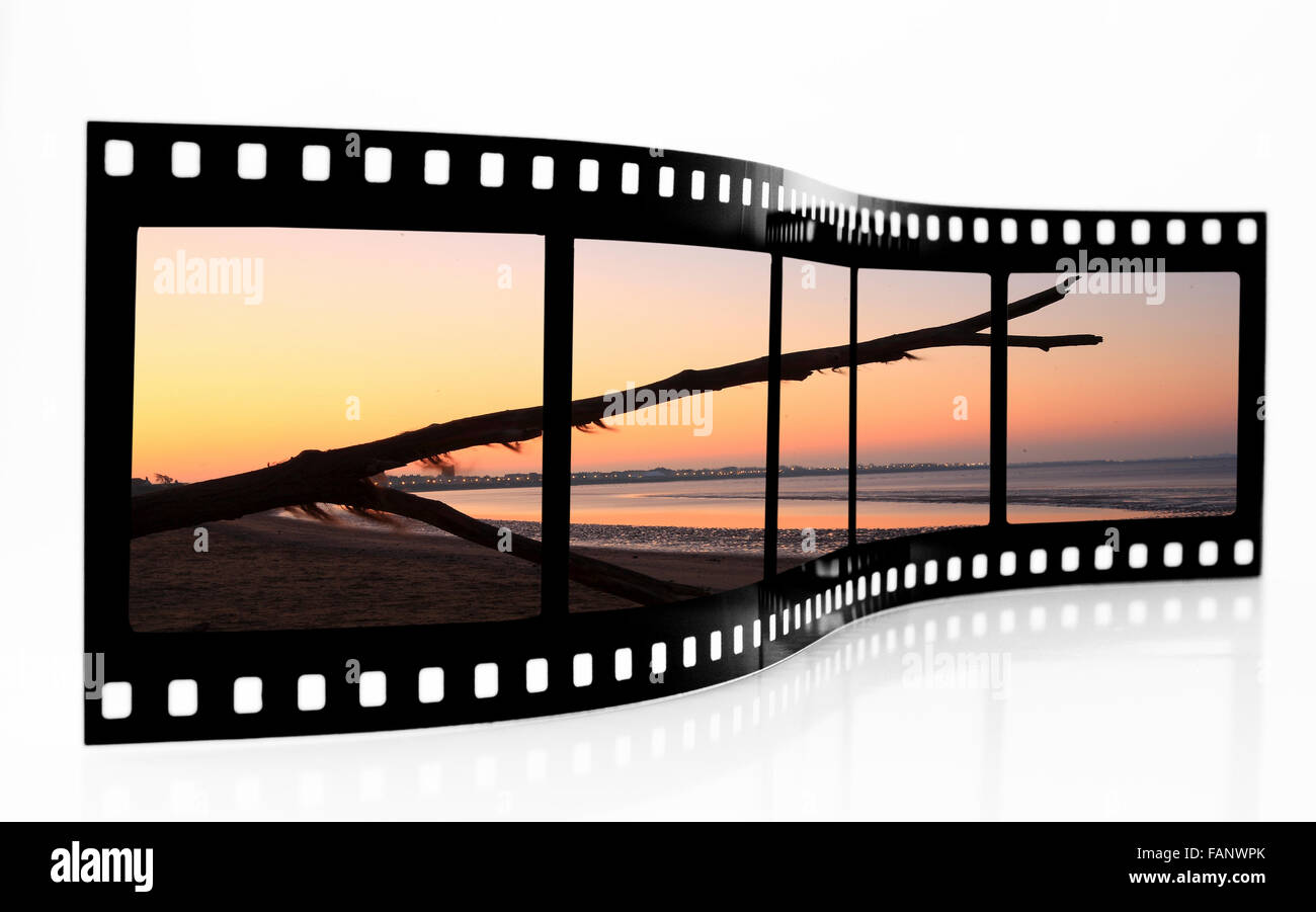Sunset with driftwood Film Strip Stock Photo