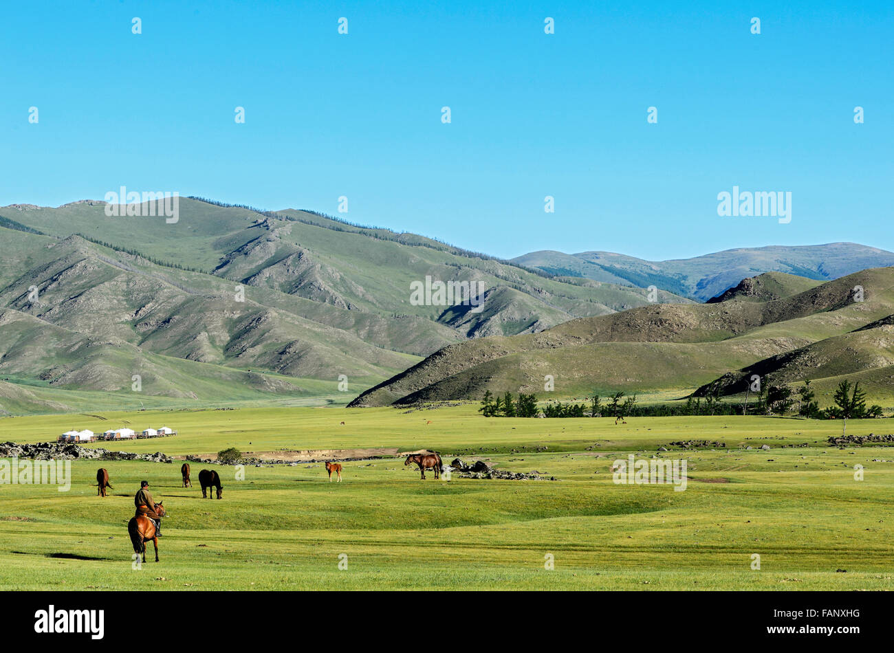 Nomads in the barren landscape in the Orkhon Valley, Khangai Nuruu National Park, Övörkhangai Aimag, Mongolia Stock Photo
