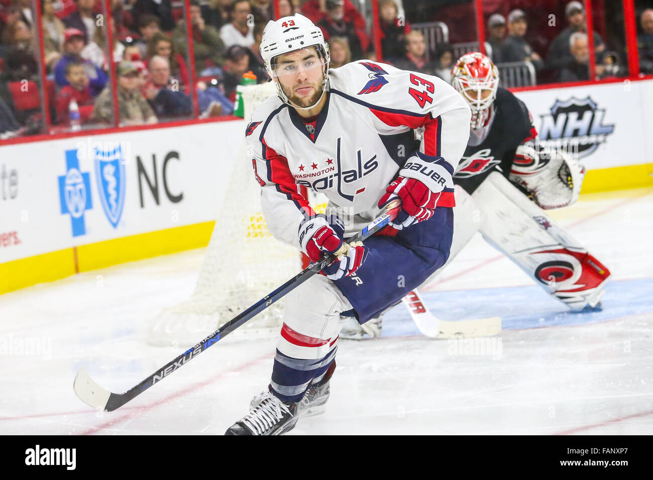 660 Best Tom Wilson #43 Washington Capitals ideas in 2023