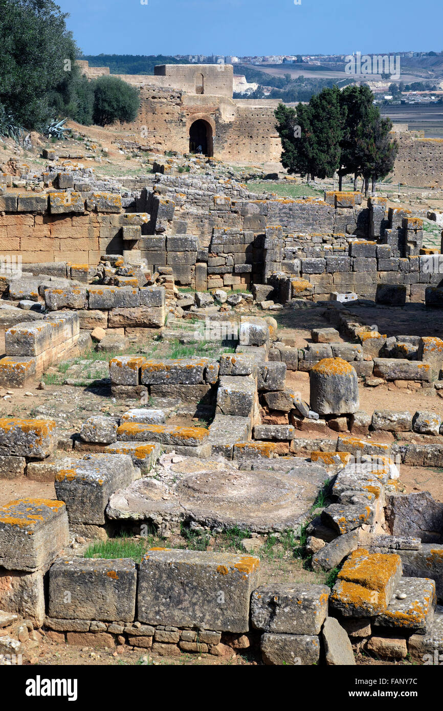 Ruins of the necropolis of Chellah, Rabat, Rabat province, Morocco Stock Photo
