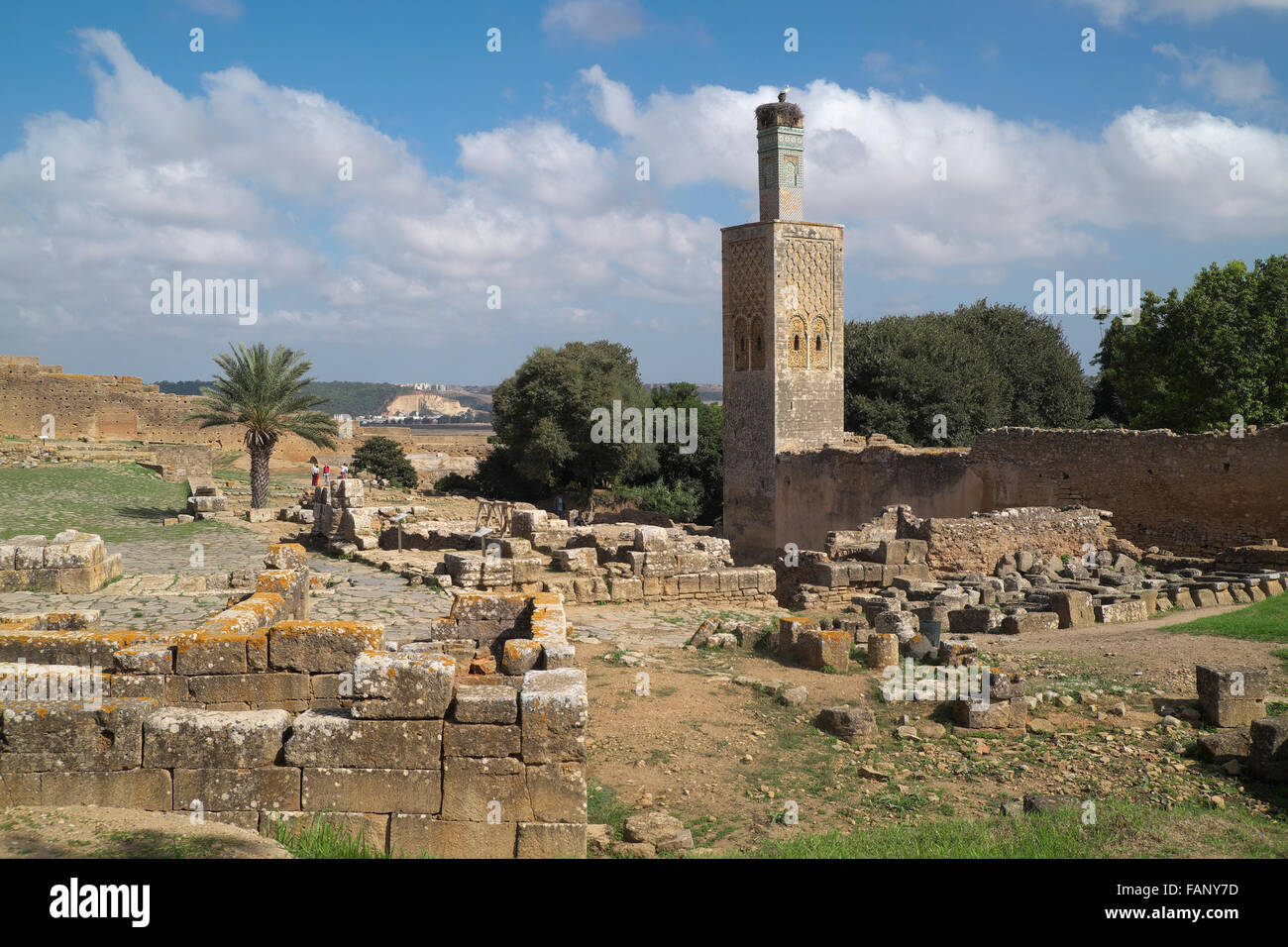 Ruins and minaret of the former Islamic school Zaouia, necropolis of Chellah, Rabat, Rabat province, Morocco Stock Photo
