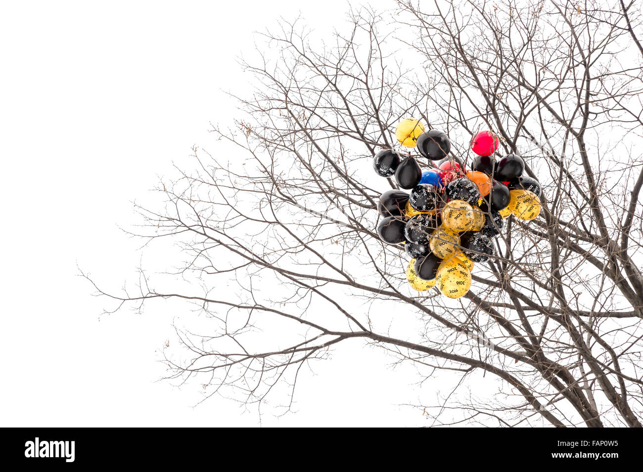 Balloon stuck branch hires stock photography and images Alamy