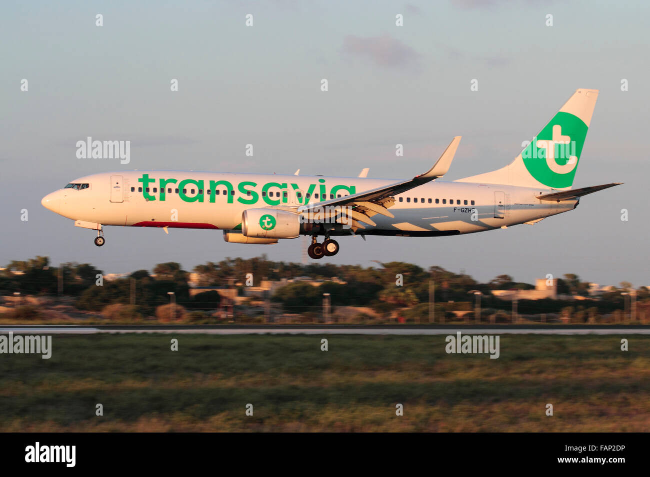 Transavia Boeing 737-800 passenger jet plane displaying the airline's revised livery as it arrives in Malta at sunset Stock Photo