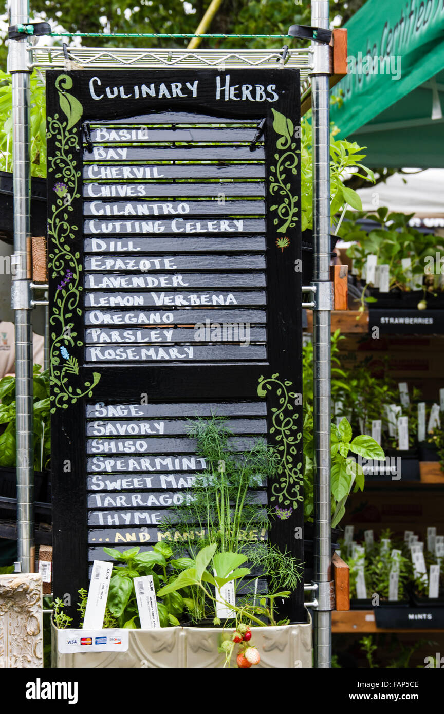 Display sign for a culinary herb display at a garden center Stock Photo
