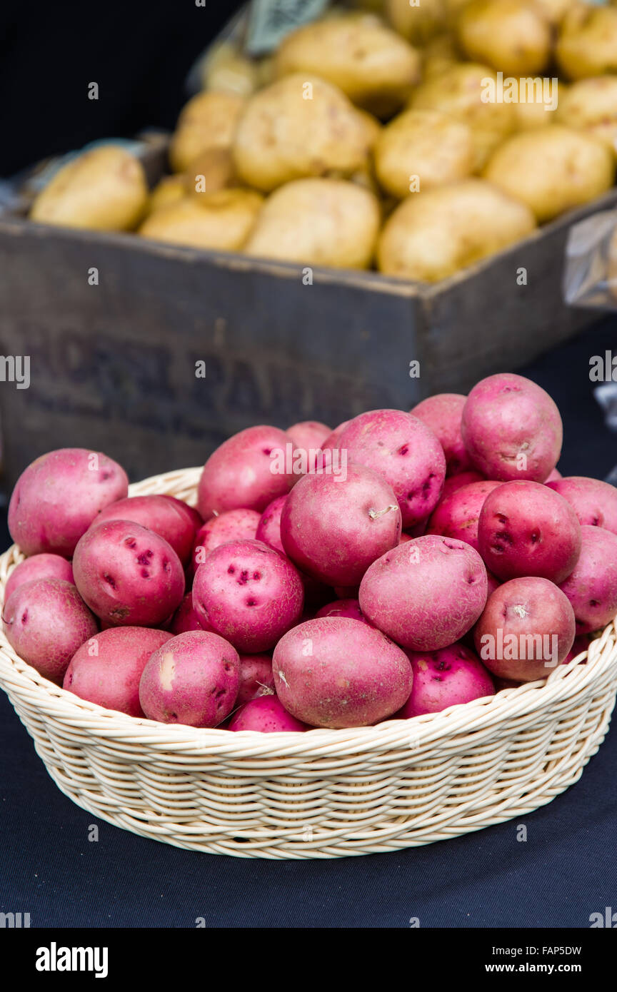 Basket of red potatoes at the farmers market, Beaverton, Oregon, USA Stock Photo