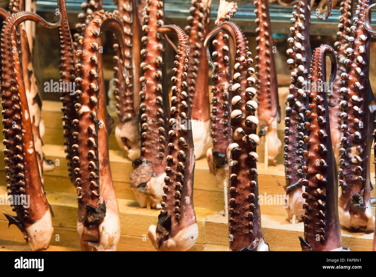 Selling squid at Liuhe Night Market, Kaohsiung, Taiwan Stock Photo