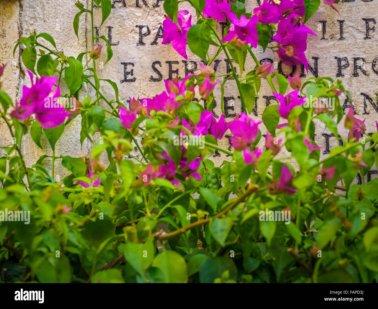 Street scenes in the centro storico area of Rome, Italy Stock Photo - Alamy