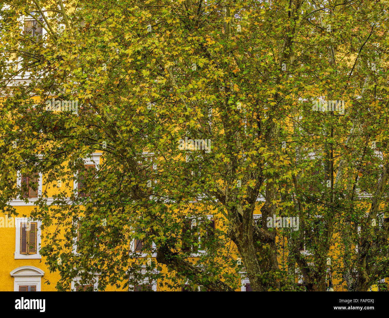 Street scenes in the centro storico area of Rome, Italy Stock Photo - Alamy