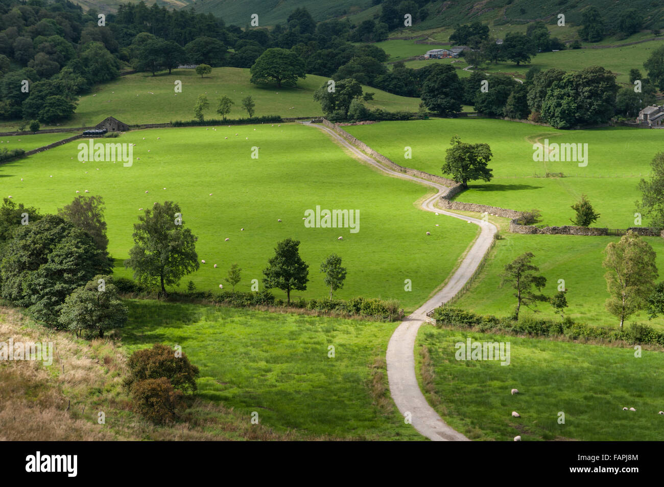 Farm track to Bridgend and Deepdale Bridge in Patterdale Stock Photo