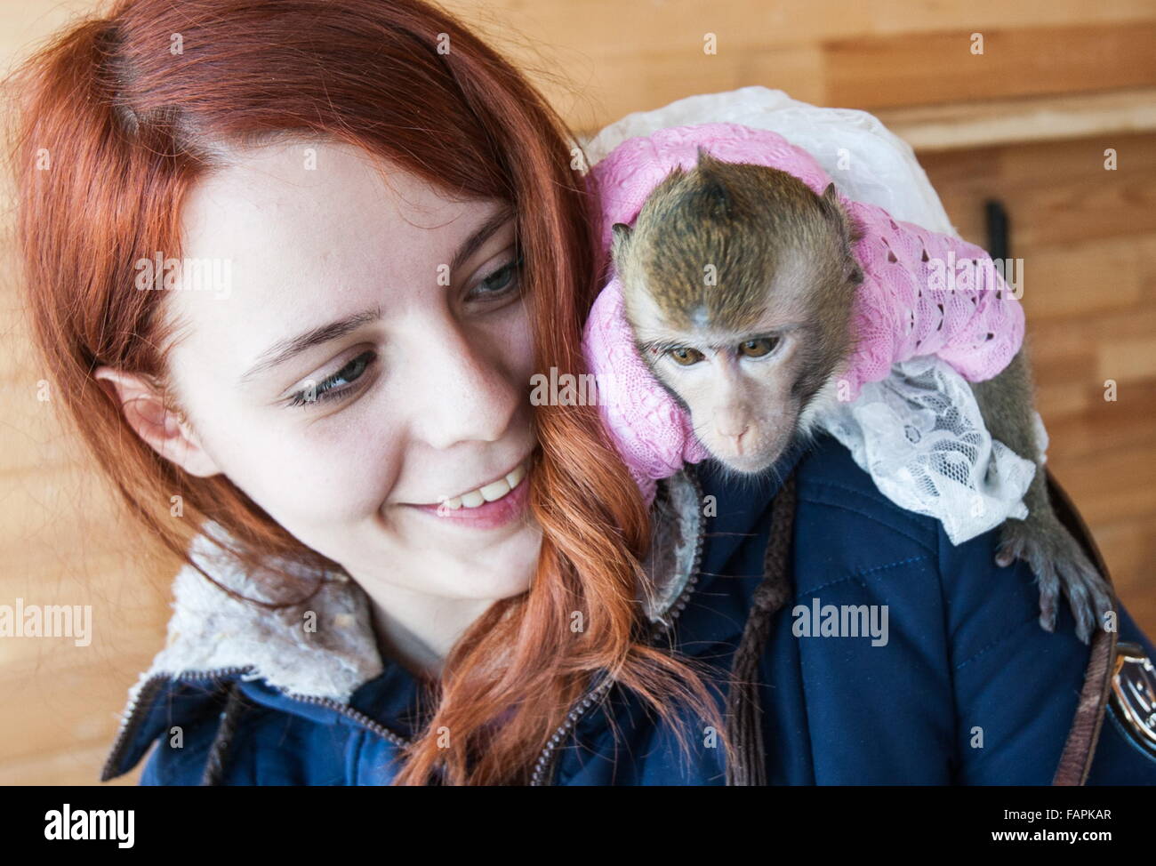 Barnaul Russia 3rd Jan 2016 A Macaque Monkey Called Masya In