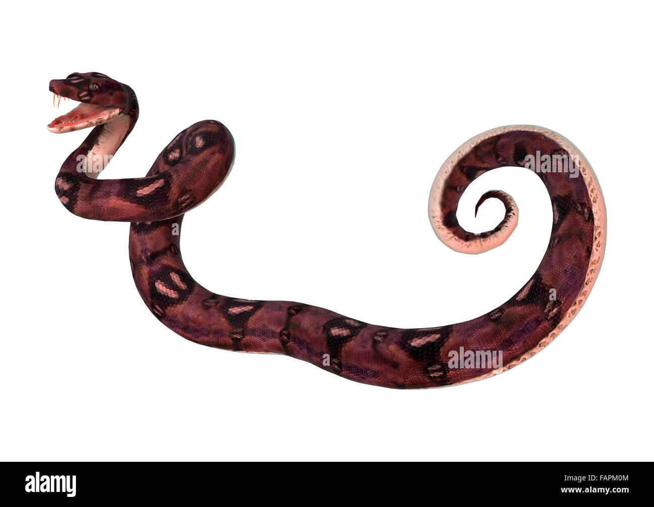 Anaconda 3d hi-res stock photography and images - Alamy