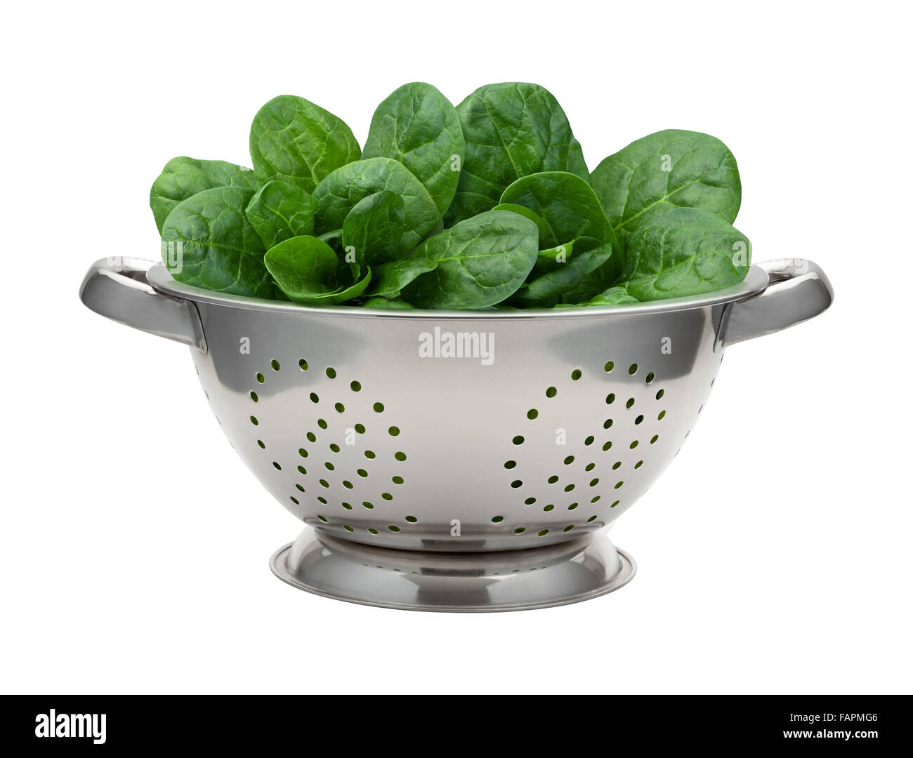 Fresh Spinach in a Stainless Steel Colander. The image is a cut out, isolated on a white background. Stock Photo