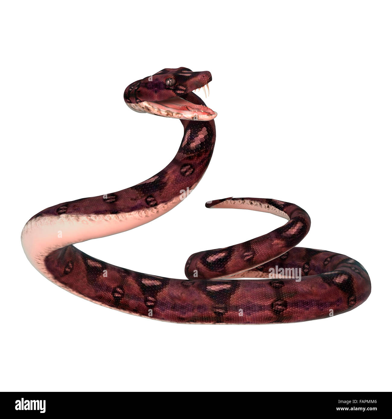 3,600+ Snake 3d Stock Photos, Pictures & Royalty-Free Images - iStock