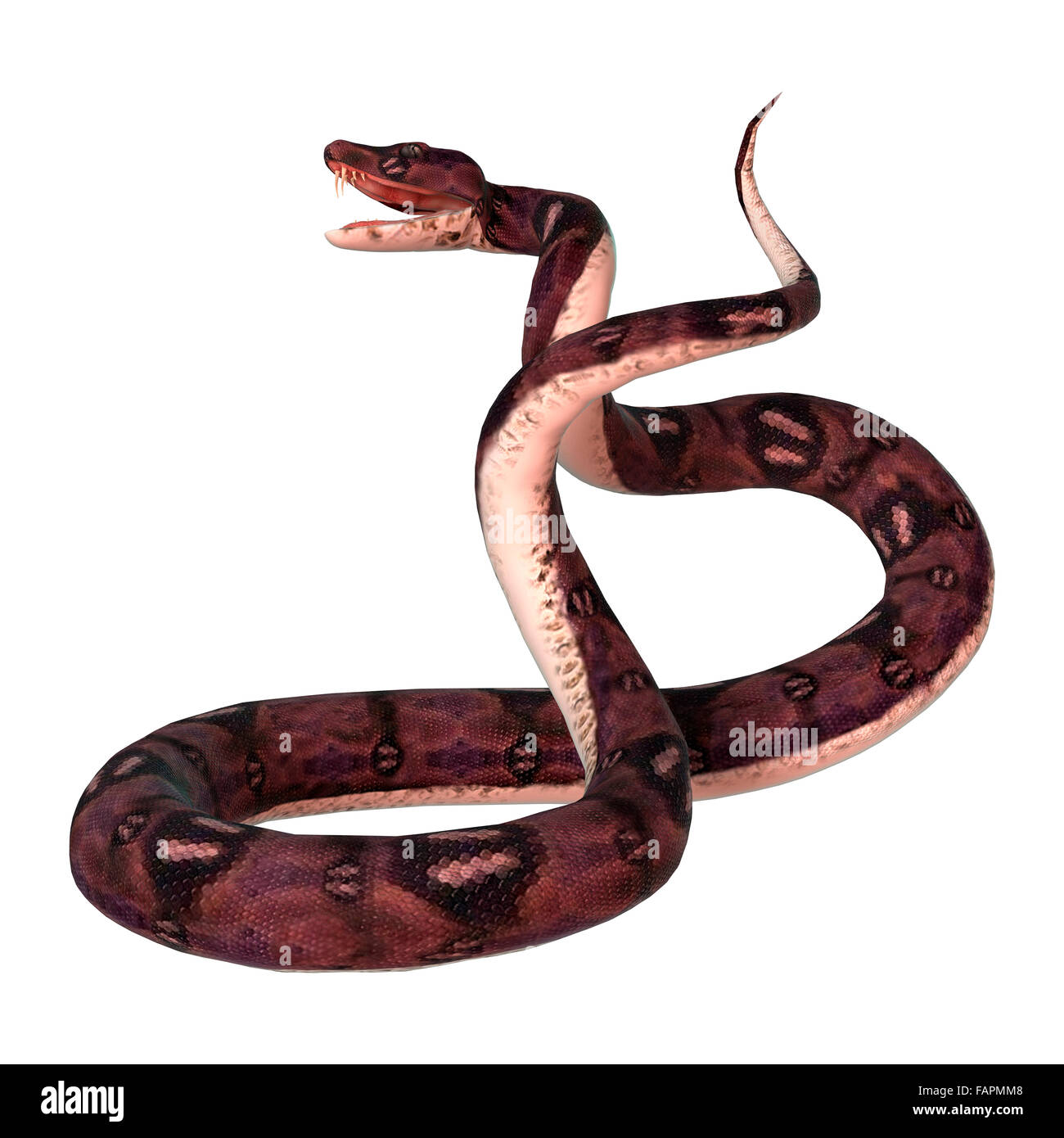 3D Snake Images – Browse 24,690 Stock Photos, Vectors, and Video