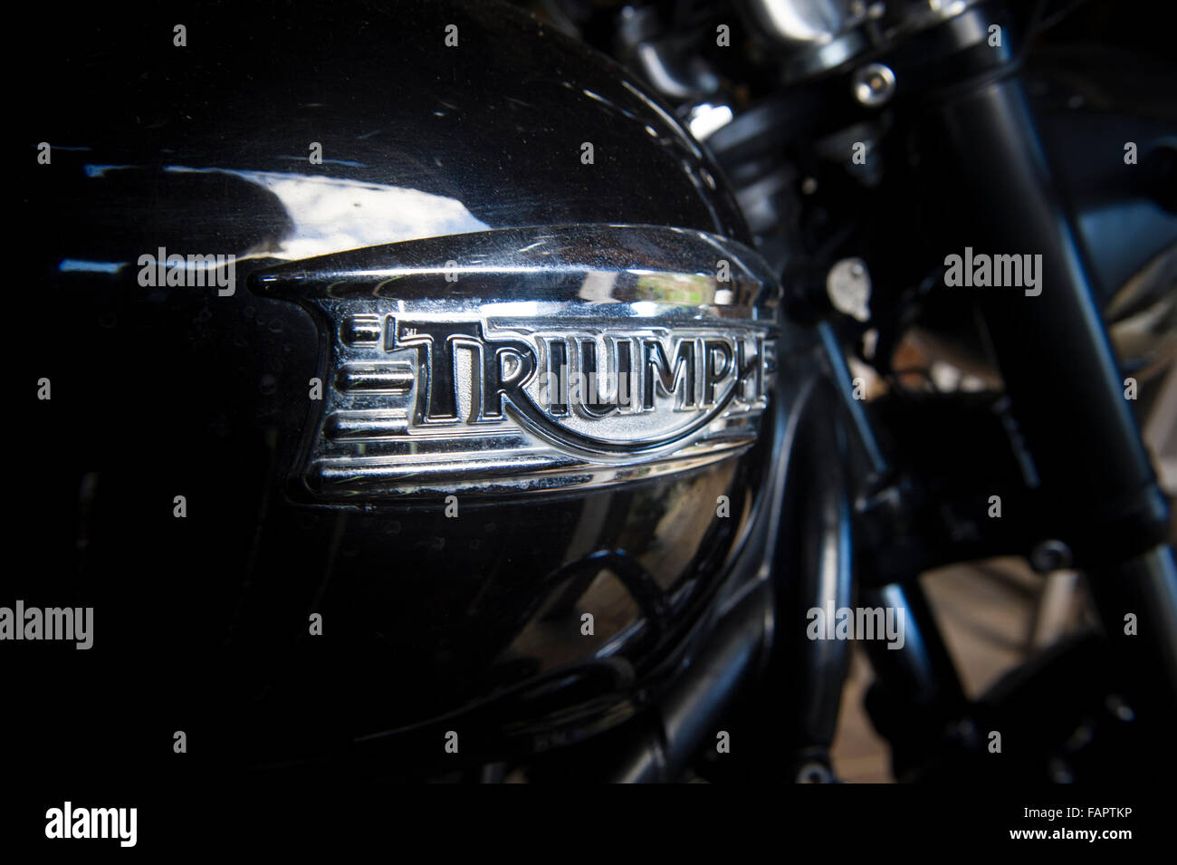 A Triumph motorbike pertrol tank logo Stock Photo