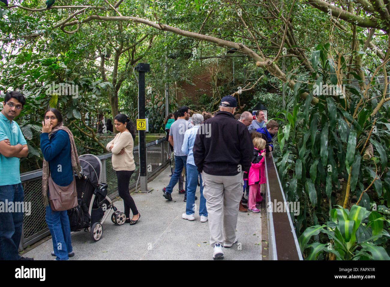National Aviary in Pittsburgh, PA Stock Photo Alamy