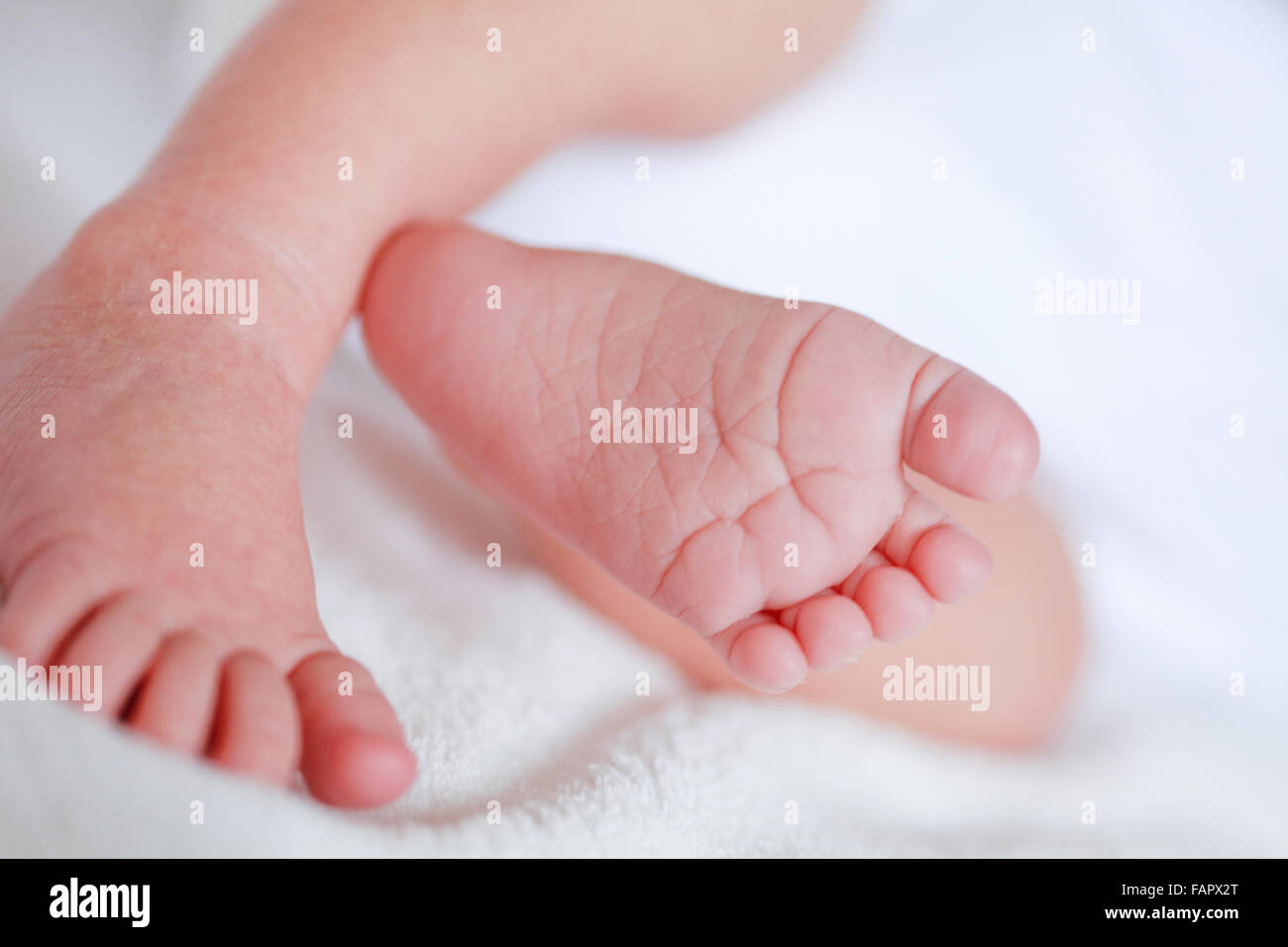 Curled toes hires stock photography and images Alamy