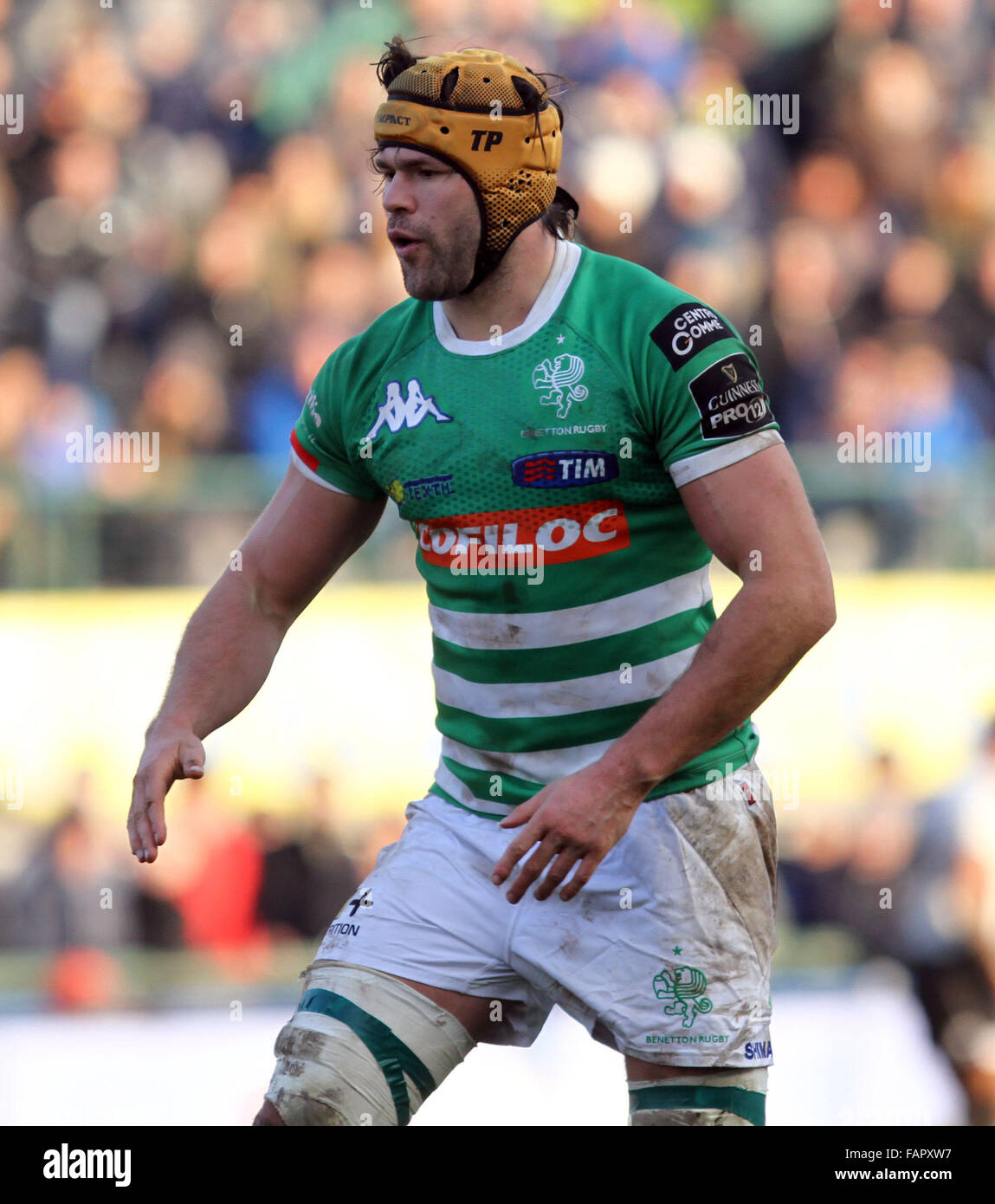 ITALY, Treviso: Benetton Treviso's player Tom Palmer looks during Rugby Guinness Pro12 match  between Benetton Treviso and Zebre Rugby on 3rd January, 2016 in Treviso Stock Photo