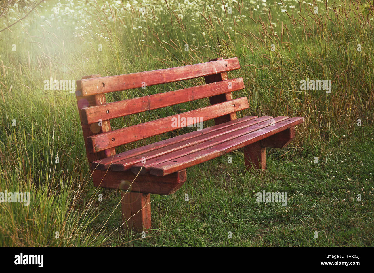 Wooden bench in summer field of wildflowers with sun flare lighting. Stock Photo