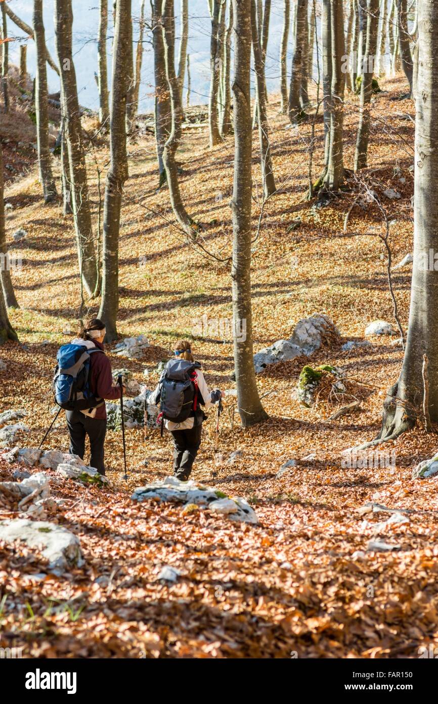 Young women walking in a forest Stock Photo - Alamy